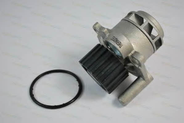 Thermotec D1W043TT Water pump D1W043TT: Buy near me in Poland at 2407.PL - Good price!