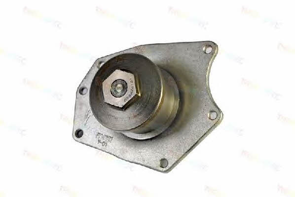 Thermotec D1Y015TT Water pump D1Y015TT: Buy near me in Poland at 2407.PL - Good price!
