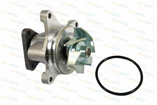 Thermotec D1Y028TT Water pump D1Y028TT: Buy near me in Poland at 2407.PL - Good price!