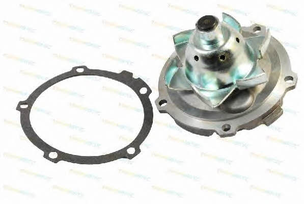 Thermotec D1Y029TT Water pump D1Y029TT: Buy near me in Poland at 2407.PL - Good price!