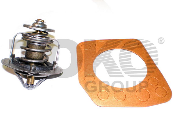 Toko T6913002 OEM Thermostat, coolant T6913002OEM: Buy near me at 2407.PL in Poland at an Affordable price!