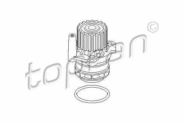 Topran 113 132 Water pump 113132: Buy near me at 2407.PL in Poland at an Affordable price!
