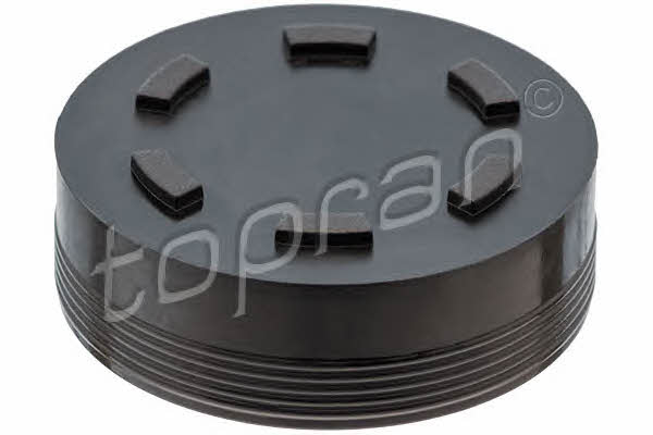 Topran 111 247 Camshaft plug 111247: Buy near me at 2407.PL in Poland at an Affordable price!