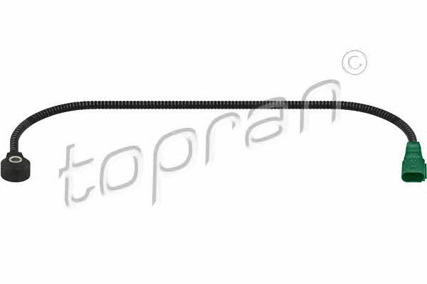 Topran 113 838 Knock sensor 113838: Buy near me in Poland at 2407.PL - Good price!