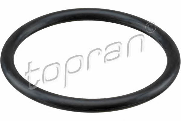Topran 113 884 Air filter housing gasket 113884: Buy near me at 2407.PL in Poland at an Affordable price!