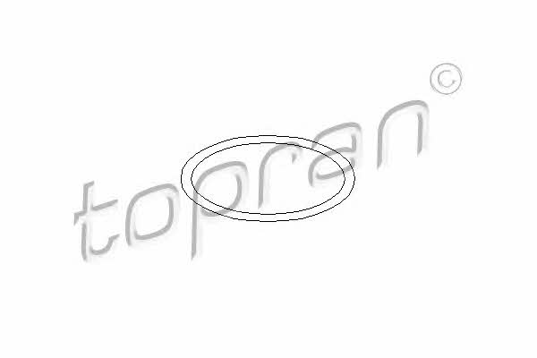 Topran 202 026 Ignition coil gasket 202026: Buy near me in Poland at 2407.PL - Good price!