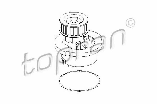 Topran 202 280 Water pump 202280: Buy near me at 2407.PL in Poland at an Affordable price!