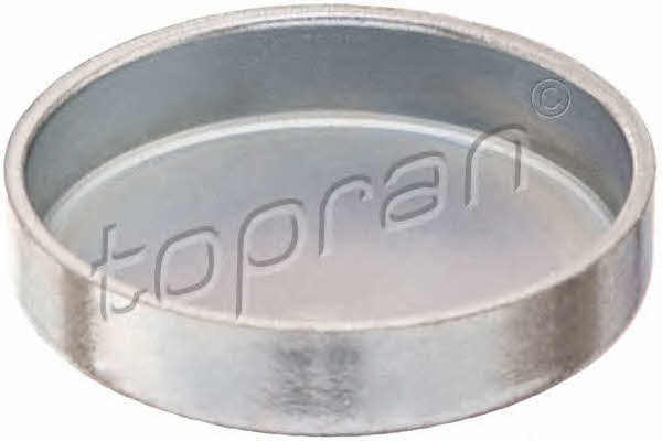 Topran 203 184 PLUG-BLIND 203184: Buy near me at 2407.PL in Poland at an Affordable price!