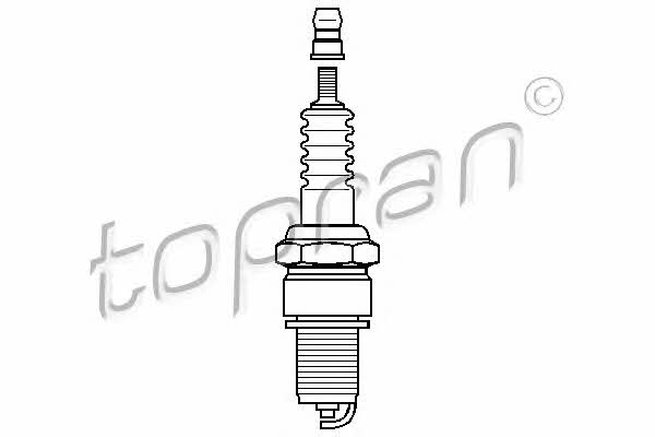 Topran 205 041 Spark plug 205041: Buy near me in Poland at 2407.PL - Good price!