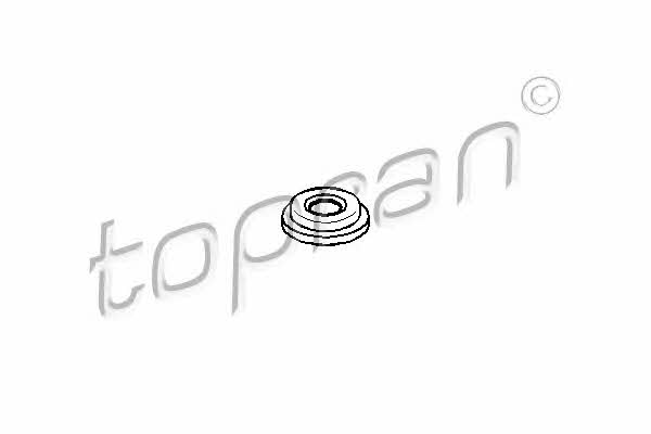 Topran 206 270 Fuel injector washer 206270: Buy near me in Poland at 2407.PL - Good price!