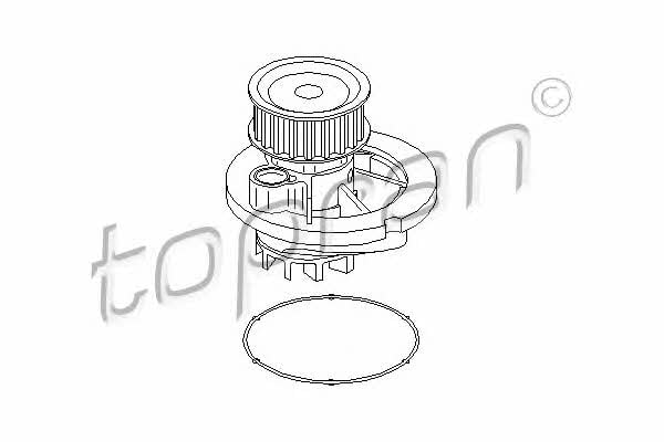 Topran 206 322 Water pump 206322: Buy near me at 2407.PL in Poland at an Affordable price!