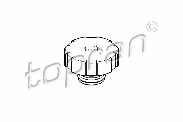 Topran 206 670 Кришка бачка розширюючого 206670: Приваблива ціна - Купити у Польщі на 2407.PL!