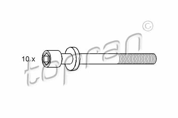Topran 206 749 Cylinder Head Bolts Kit 206749: Buy near me in Poland at 2407.PL - Good price!