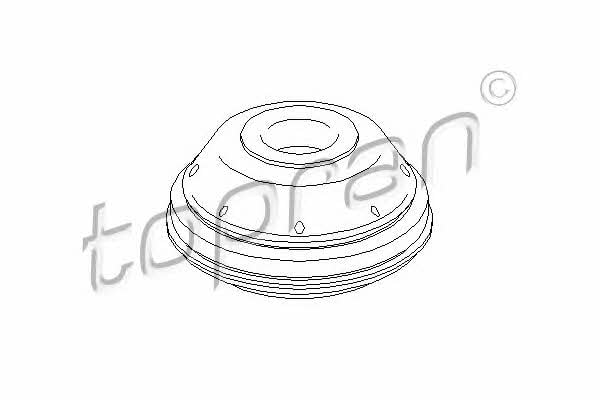 Topran 207 743 Strut bearing with bearing kit 207743: Buy near me in Poland at 2407.PL - Good price!