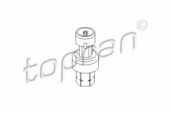 Topran 207 540 AC pressure switch 207540: Buy near me in Poland at 2407.PL - Good price!