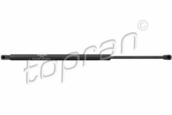 Topran 408 029 Gas Spring, boot-/cargo area 408029: Buy near me at 2407.PL in Poland at an Affordable price!