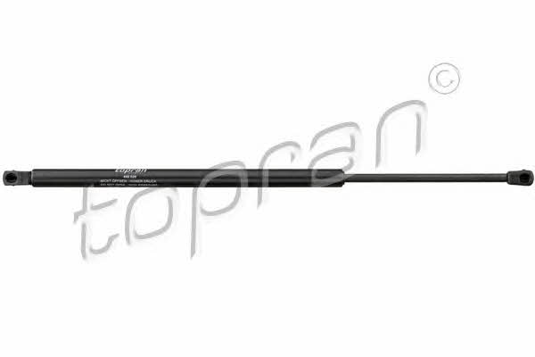 Topran 408 029 Gas Spring, boot-/cargo area 408029: Buy near me in Poland at 2407.PL - Good price!