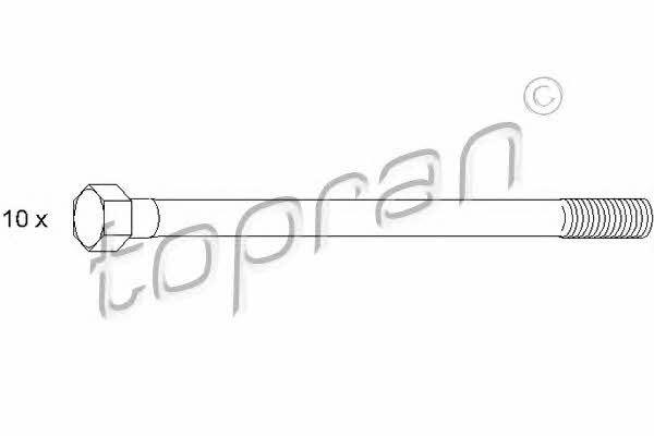 Topran 500 361 Śruby głowicy bloku cylindra, komplet 500361: Dobra cena w Polsce na 2407.PL - Kup Teraz!