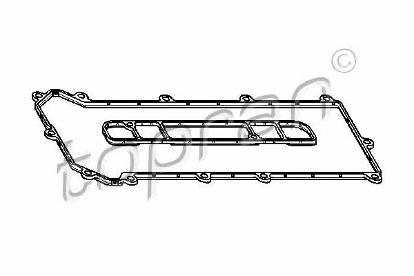 Topran 302 273 Valve Cover Gasket (kit) 302273: Buy near me in Poland at 2407.PL - Good price!