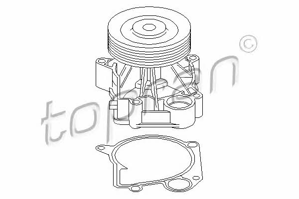 Topran 500 310 Water pump 500310: Buy near me at 2407.PL in Poland at an Affordable price!