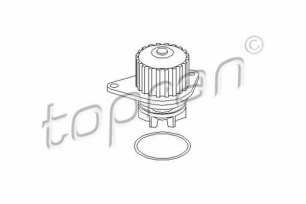 Topran 720 165 Water pump 720165: Buy near me at 2407.PL in Poland at an Affordable price!