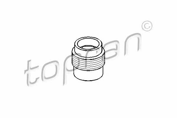 Topran 107 315 Fuel injector bracket 107315: Buy near me in Poland at 2407.PL - Good price!