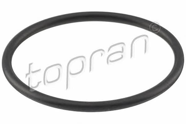 Topran 100 576 Fuel pump gasket 100576: Buy near me in Poland at 2407.PL - Good price!