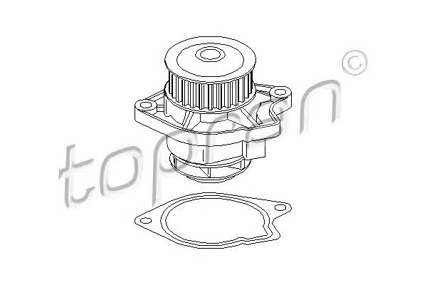 Topran 108 265 Water pump 108265: Buy near me at 2407.PL in Poland at an Affordable price!