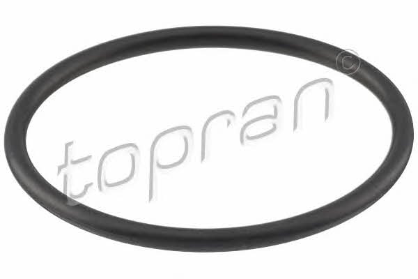 Topran 100 842 Fuel pump gasket 100842: Buy near me in Poland at 2407.PL - Good price!