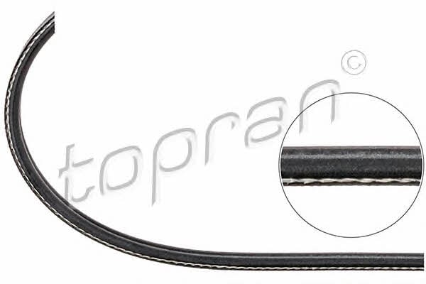 Topran 108 567 V-ribbed belt 2PK800 108567: Buy near me in Poland at 2407.PL - Good price!