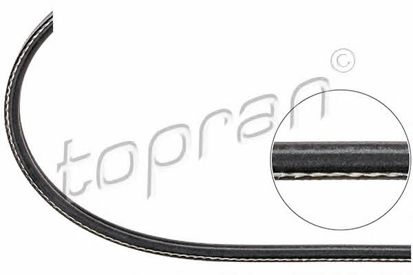 Topran 104 130 V-ribbed belt 2PK836 104130: Buy near me in Poland at 2407.PL - Good price!
