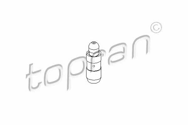 Topran 721 599 Гідрокомпенсатор 721599: Приваблива ціна - Купити у Польщі на 2407.PL!