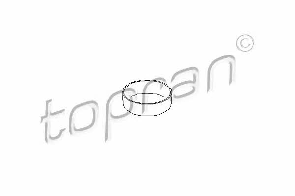 Topran 722 668 Заглушка блока цилиндров 722668: Отличная цена - Купить в Польше на 2407.PL!