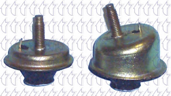 Triclo 361630 Engine mount, rear right 361630: Buy near me in Poland at 2407.PL - Good price!