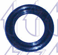 Triclo 322615 Seal Oil Drain Plug 322615: Buy near me in Poland at 2407.PL - Good price!