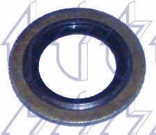 Triclo 322589 Seal Oil Drain Plug 322589: Buy near me in Poland at 2407.PL - Good price!