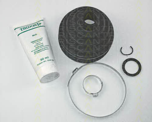 Triscan 8540 29810 Bellow set, drive shaft 854029810: Buy near me in Poland at 2407.PL - Good price!