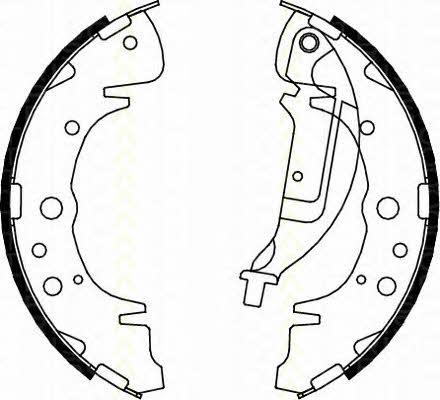 Triscan 8100 10019 Brake shoe set 810010019: Buy near me in Poland at 2407.PL - Good price!