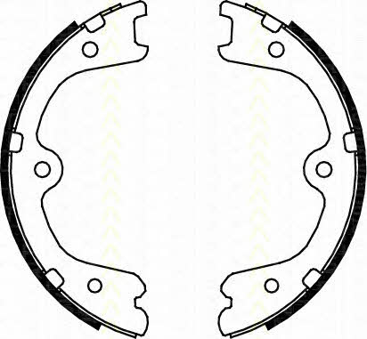 Triscan 8100 14009 Szczęki hamulcowe hamulca postojowego 810014009: Dobra cena w Polsce na 2407.PL - Kup Teraz!