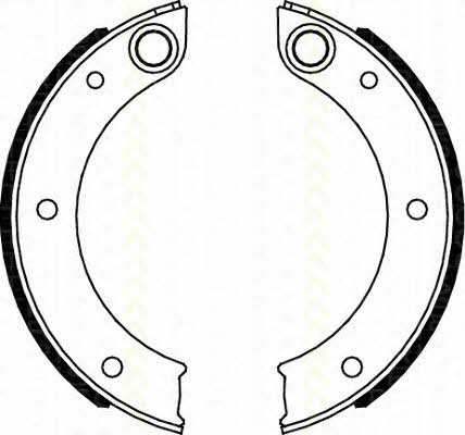 Triscan 8100 20003 Feststellbremsbacken 810020003: Kaufen Sie zu einem guten Preis in Polen bei 2407.PL!