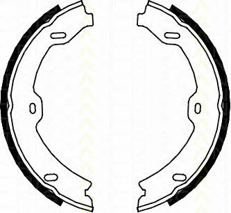 Triscan 8100 23031 Колодки гальмівні стояночного гальма 810023031: Приваблива ціна - Купити у Польщі на 2407.PL!