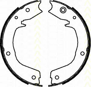 Triscan 8100 42019 Parking brake shoes 810042019: Buy near me at 2407.PL in Poland at an Affordable price!