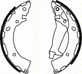 Triscan 8100 43014 Brake shoe set 810043014: Buy near me at 2407.PL in Poland at an Affordable price!