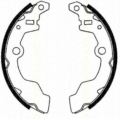 Triscan 8100 69567 Brake shoe set 810069567: Buy near me at 2407.PL in Poland at an Affordable price!