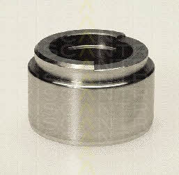 Triscan 8170 234501 Brake caliper piston 8170234501: Buy near me at 2407.PL in Poland at an Affordable price!