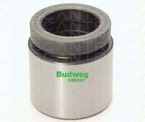 Triscan 8170 234609 Brake caliper piston 8170234609: Buy near me in Poland at 2407.PL - Good price!