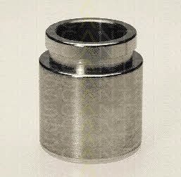 Triscan 8170 233819 Brake caliper piston 8170233819: Buy near me at 2407.PL in Poland at an Affordable price!