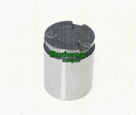 Triscan 8170 234102 Brake caliper piston 8170234102: Buy near me in Poland at 2407.PL - Good price!