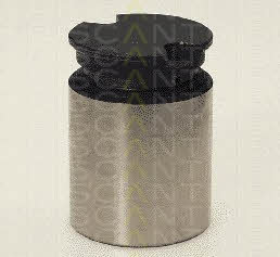 Triscan 8170 233419 Brake caliper piston 8170233419: Buy near me in Poland at 2407.PL - Good price!