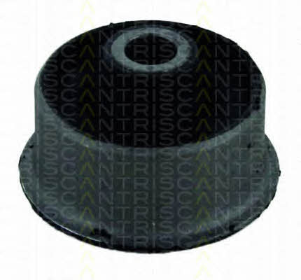 Triscan 8500 16807 Control Arm-/Trailing Arm Bush 850016807: Buy near me in Poland at 2407.PL - Good price!